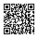 Código QR con el enlace al titular León luce en Navidad