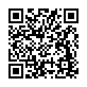 Código QR con el enlace al titular La Navidad llega al Palacio de Canedo