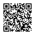 Código QR con el enlace al titular Largas colas durante el puente para acceder al Palacio de Canedo