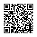 Código QR con el enlace al titular La Junta Local de Seguridad movilizará a toda la plantilla de la Policía Local en Navidad