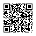 Código QR con el enlace al titular Tráfico pone en marcha hasta el domingo la operación Fin de Año
