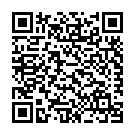 Código QR con el enlace al titular Diversa achaca a los plazos administrativos el retraso en las obras de Navaliegos