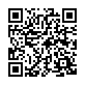 Código QR con el enlace al titular Completista