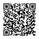 Código QR con el enlace al titular Carriedo asegura que la asistencia sanitaria está «menos comprometida» que en los peores momentos de la pandemia