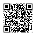 Código QR con el enlace al titular Baratero