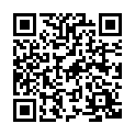 Código QR con el enlace al titular Completista