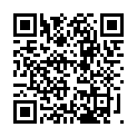 Código QR con el enlace al titular Solapa