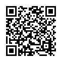 Código QR con el enlace al titular Ramón cree que «no hay ruptura» del pacto y critica el «electoralismo» de UPL en Diputación