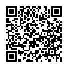 Código QR con el enlace al titular Ciuden adjudica por 1,1 millones las obras de urbanización del entorno de La Térmica Cultural