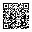 Código QR con el enlace al titular Silván lamenta que el Gobierno siga «vetando» los descuentos y servicios Avant en León