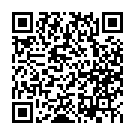 Código QR con el enlace al titular Récord del combustible a un mes de que el Gobierno aclare el futuro de la subvención