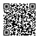 Código QR con el enlace al titular Recuperan los cuerpos de 20 de los 22 ocupantes del avión siniestrado en Nepal