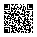 Código QR con el enlace al titular Bolsa de Gálibo