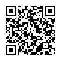 Código QR con el enlace al titular Diez afirma que las obras de la muralla «no se van a retrasar»