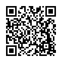 Código QR con el enlace al titular Un turismo revienta la valla de protección de Michaisa y obliga a intervenir a Bomberos de León