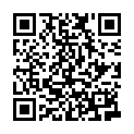 Código QR con el enlace al titular Carnaval en Guayaquil