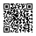 Código QR con el enlace al titular San Isidro registra el mejor Carnaval de los últimos once años con 25.391 usuarios