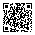 Código QR con el enlace al titular Diez asume «con tranquilidad y normalidad» el pleno reprobatorio por su viaje a Catar
