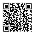 Código QR con el enlace al titular Torres concentra ya todo el poder en el Grupo Municipal del PP