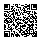 Código QR con el enlace al titular Dos menores heridos en la salida de vía de un turismo en una rotonda en Zamora