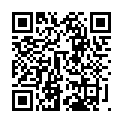 Código QR con el enlace al titular Diario apócrifo