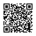 Código QR con el enlace al titular Bolardos como leones