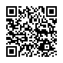 Código QR con el enlace al titular Los daños