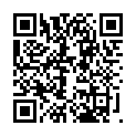 Código QR con el enlace al titular The Orange