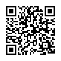 Código QR con el enlace al titular Blitz