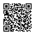 Código QR con el enlace al titular Fiestas fin de campaña