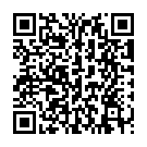 Código QR con el enlace al titular La gravilla de la calzada provoca un accidente de un motorista en León