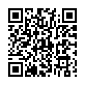 Código QR con el enlace al titular PUERTO DE LINARES