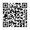 Código QR con el enlace al titular XX Edición de Toral en Tren