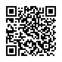Código QR con el enlace al titular ¿Hubo un Pacto PSOE cs con VOX para quitar a Carrera?
