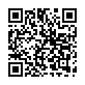 Código QR con el enlace al titular Pequeños bólidos en el XI Open Astorga