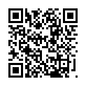 Código QR con el enlace al titular Zurita