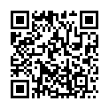 Código QR con el enlace al titular Zurita
