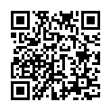 Código QR con el enlace al titular El plan de Seguridad para el verano termina con cifras similares a las de años anteriores