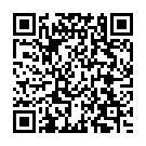 Código QR con el enlace al titular La Diputación aprobó en pleno las áreas de gobierno de los diputados