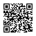 Código QR con el enlace al titular Hölderliana