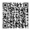 Código QR con el enlace al titular El Ejército de EE UU pierde un caza de 75 millones de euros