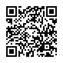 Código QR con el enlace al titular Pub - Leon (León)