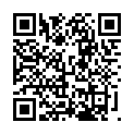 Código QR con el enlace al titular Brocal