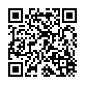 Código QR con el enlace al titular La carretera del canal crecerá 1m a lo ancho