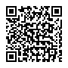 Código QR con el enlace al titular Diez reconoce que el ocio nocturno «penaliza» la vida en el Barrio Húmedo