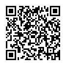 Código QR con el enlace al titular Se da a la fuga y termina chocando contra un coche de la Policía Local de León