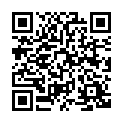 Código QR con el enlace al titular Los comienzos