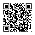 Código QR con el enlace al titular Low cost