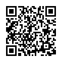 Código QR con el enlace al titular FOTOGALERÍA | El Belén artesano de Macario encandila un año más en El Rosal