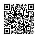 C&oacute;digo QR con el enlace al titular Diario veneciano